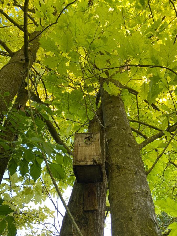 Locanda Del Molino Vecchio Magliano Alfieri Esterno foto