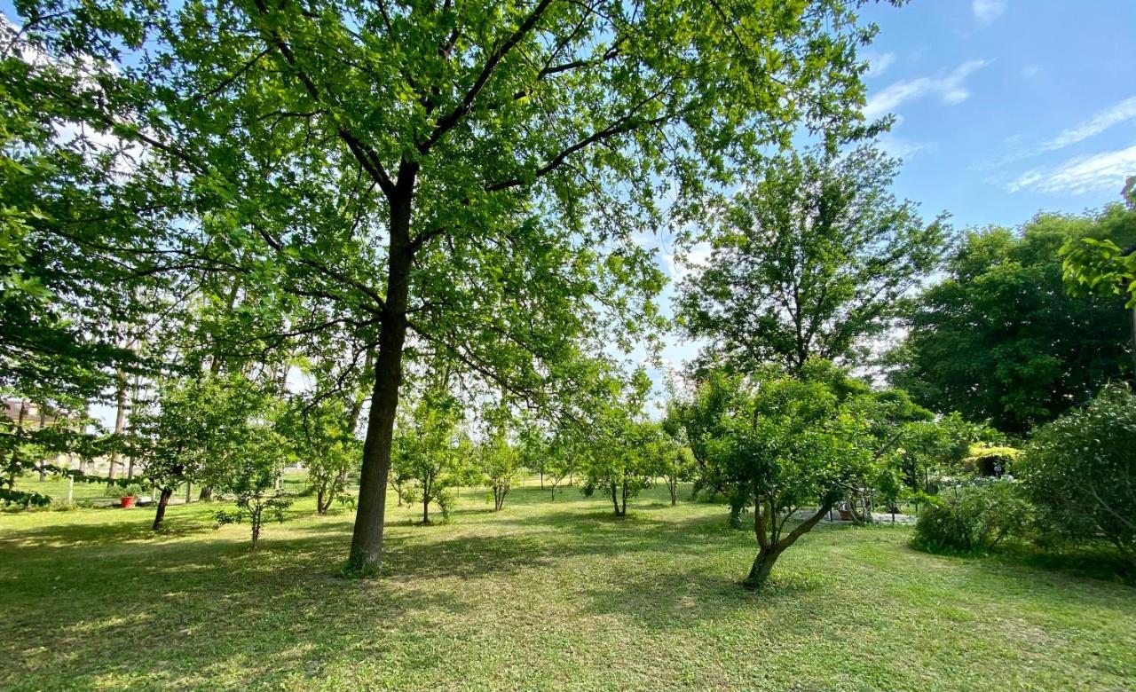 Locanda Del Molino Vecchio Magliano Alfieri Esterno foto
