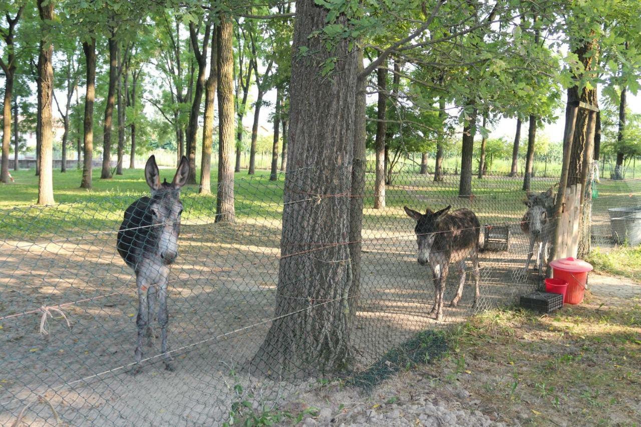 Locanda Del Molino Vecchio Magliano Alfieri Esterno foto