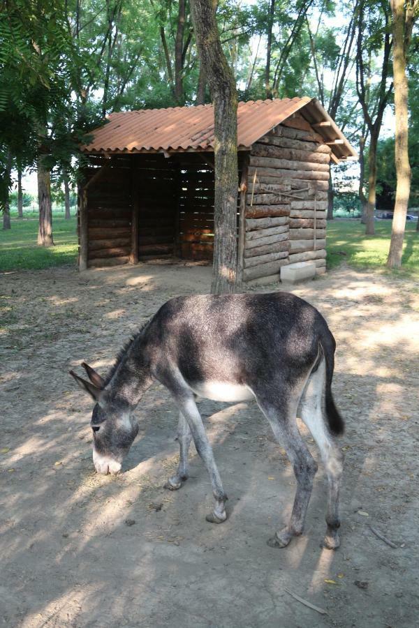 Locanda Del Molino Vecchio Magliano Alfieri Esterno foto